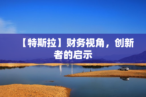 【特斯拉】财务视角，创新者的启示