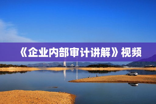 《企业内部审计讲解》视频
