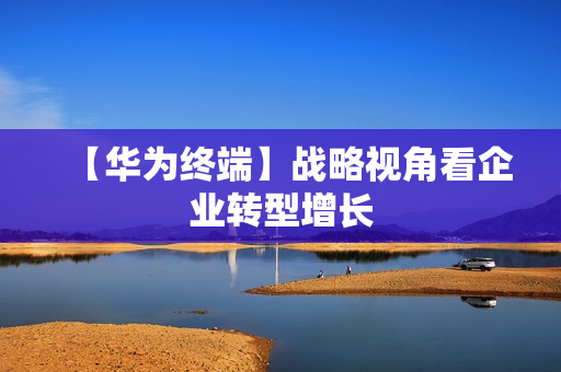 【华为终端】战略视角看企业转型增长