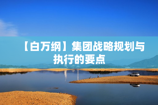 【白万纲】集团战略规划与执行的要点
