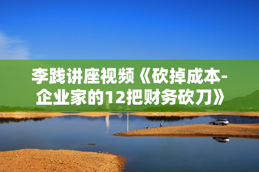 李践讲座视频《砍掉成本-企业家的12把财务砍刀》