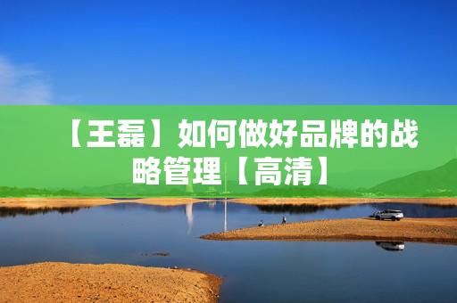 【王磊】如何做好品牌的战略管理【高清】