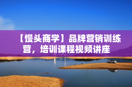【馒头商学】品牌营销训练营，培训课程视频讲座