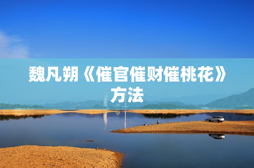 魏凡朔《催官催财催桃花》方法