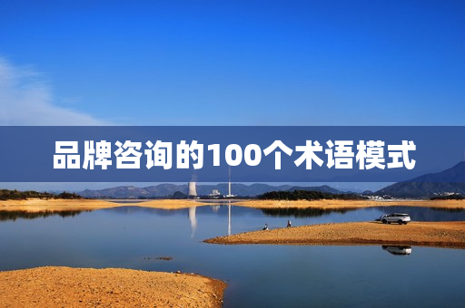 品牌咨询的100个术语模式