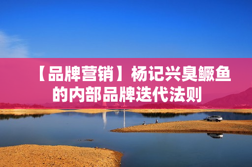 【品牌营销】杨记兴臭鳜鱼的内部品牌迭代法则