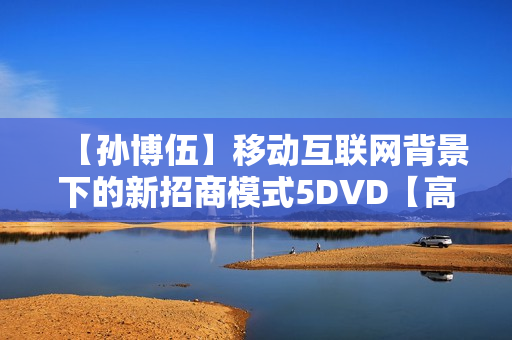 【孙博伍】移动互联网背景下的新招商模式5DVD【高清】