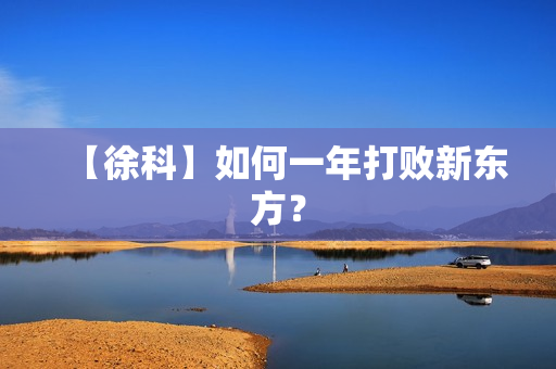 【徐科】如何一年打败新东方？