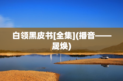 白领黑皮书[全集](播音——晟焕)