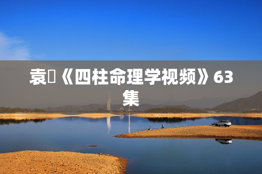 袁燊《四柱命理学视频》63集