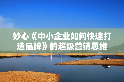 妙心《中小企业如何快速打造品牌》的超级营销思维