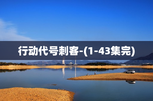 行动代号刺客-(1-43集完)