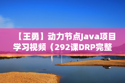 【王勇】动力节点Java项目学习视频（292课DRP完整版 ）