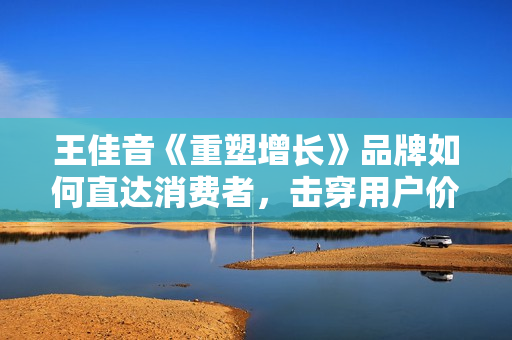 王佳音《重塑增长》品牌如何直达消费者，击穿用户价值