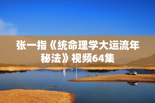 张一指《统命理学大运流年秘法》视频64集