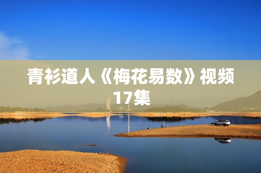 青衫道人《梅花易数》视频17集