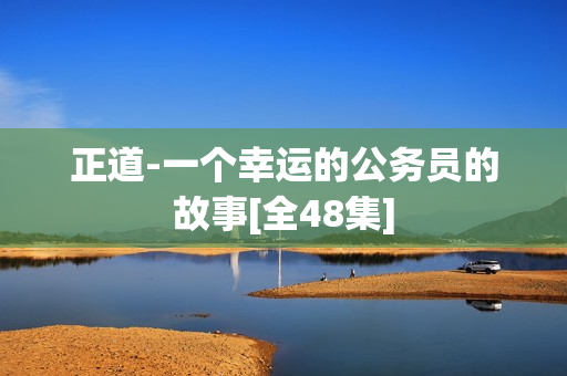 正道-一个幸运的公务员的故事[全48集]