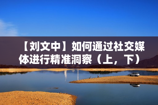 【刘文中】如何通过社交媒体进行精准洞察（上，下）