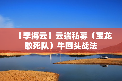 【李海云】云端私募（宝龙敢死队）牛回头战法