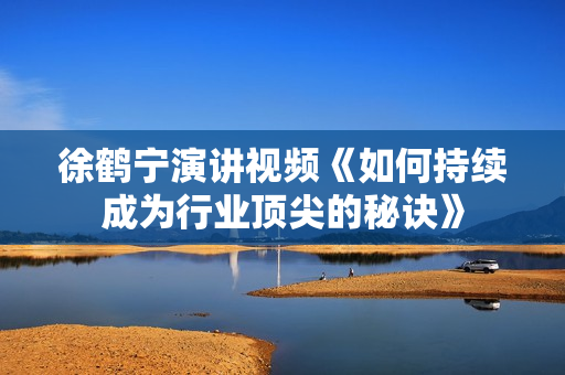 徐鹤宁演讲视频《如何持续成为行业顶尖的秘诀》