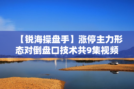 【锐海操盘手】涨停主力形态对倒盘口技术共9集视频教程
