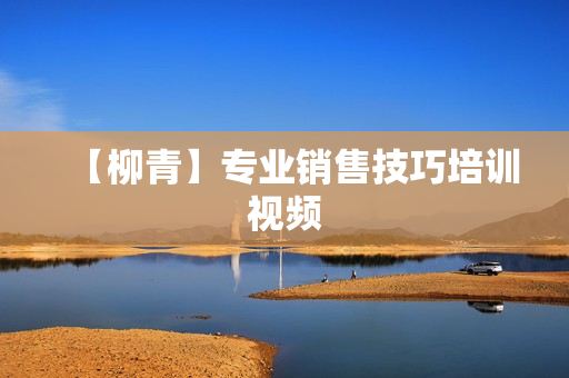 【柳青】专业销售技巧培训视频