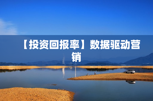 【投资回报率】数据驱动营销