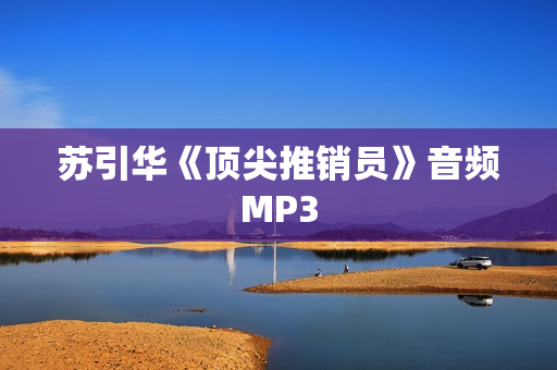 苏引华《顶尖推销员》音频MP3