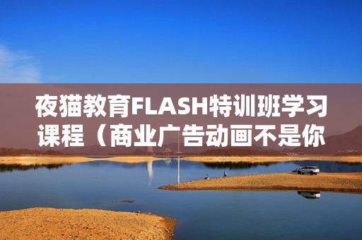 夜猫教育FLASH特训班学习课程（商业广告动画不是你想象的那么难）共10节