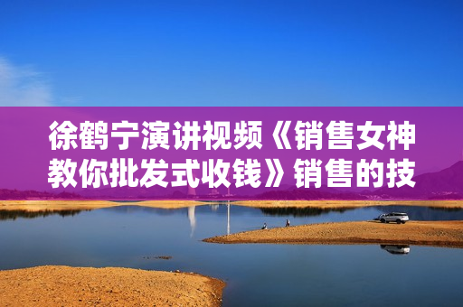 徐鹤宁演讲视频《销售女神教你批发式收钱》销售的技巧