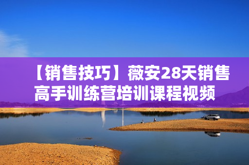 【销售技巧】薇安28天销售高手训练营培训课程视频