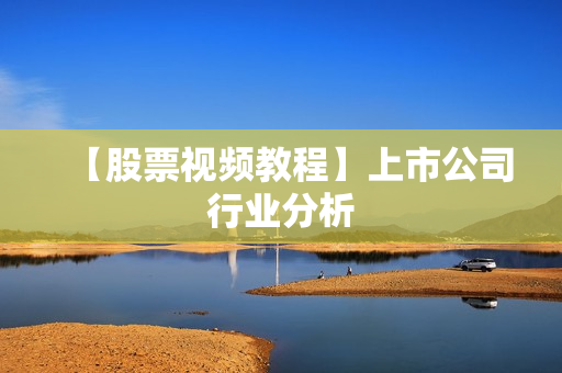【股票视频教程】上市公司行业分析