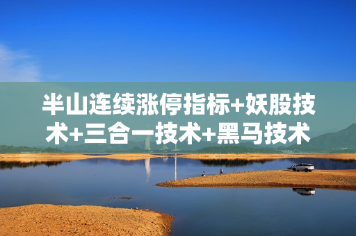 半山连续涨停指标+妖股技术+三合一技术+黑马技术全套视频