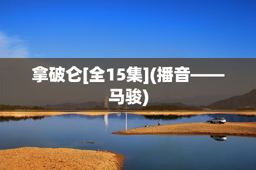 拿破仑[全15集](播音——马骏)