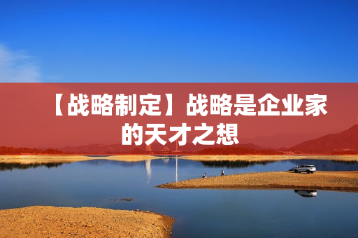 【战略制定】战略是企业家的天才之想