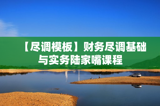 【尽调模板】财务尽调基础与实务陆家嘴课程