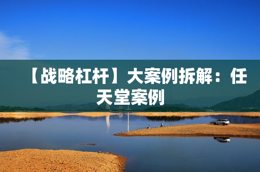 【战略杠杆】大案例拆解：任天堂案例