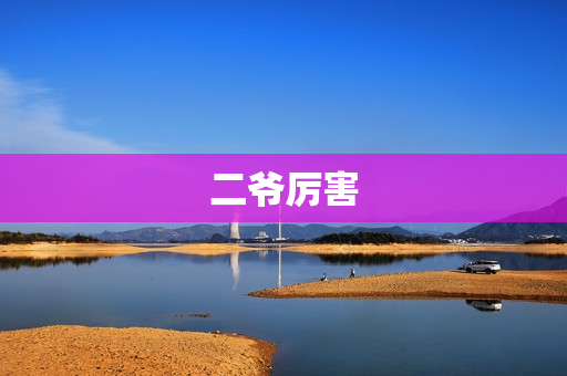 二爷厉害