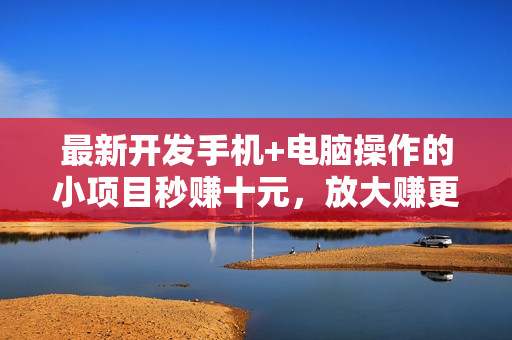 最新开发手机+电脑操作的小项目秒赚十元，放大赚更多的钱