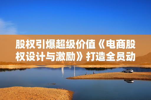 股权引爆超级价值《电商股权设计与激励》打造全员动力机制
