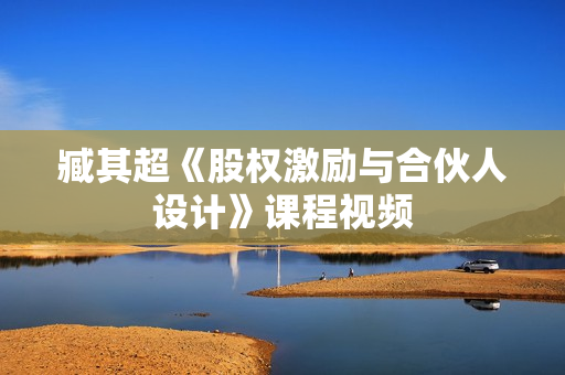 臧其超《股权激励与合伙人设计》课程视频