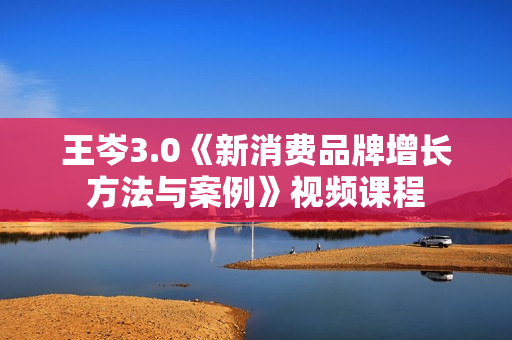 王岑3.0《新消费品牌增长方法与案例》视频课程