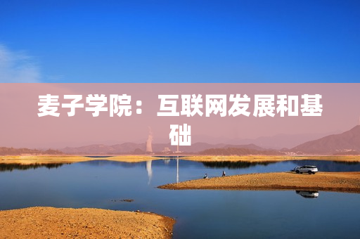 麦子学院：互联网发展和基础