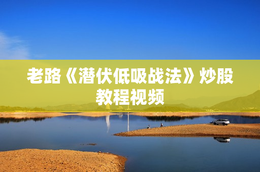老路《潜伏低吸战法》炒股教程视频