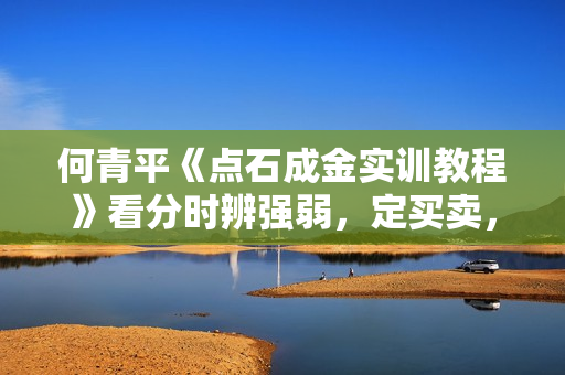 何青平《点石成金实训教程》看分时辨强弱，定买卖，原来炒股如此简单