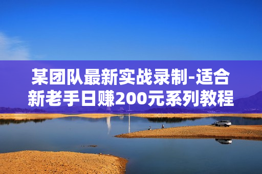 某团队最新实战录制-适合新老手日赚200元系列教程（全5课）