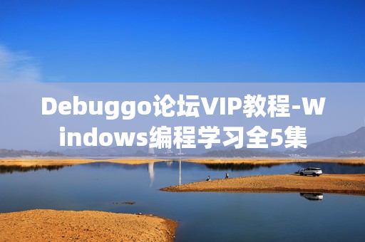 Debuggo论坛VIP教程-Windows编程学习全5集