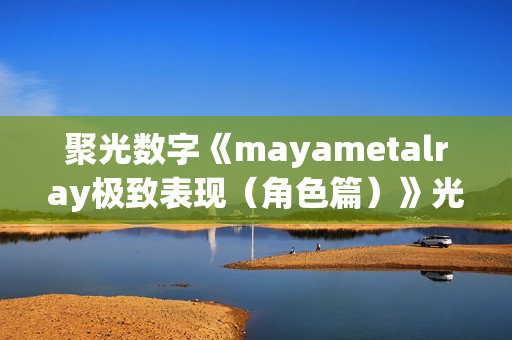 聚光数字《mayametalray极致表现（角色篇）》光盘