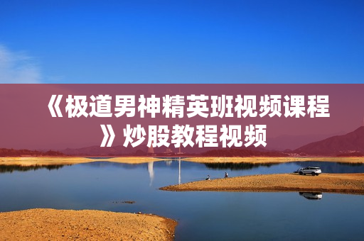 《极道男神精英班视频课程》炒股教程视频