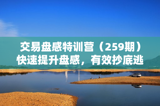 交易盘感特训营（259期）快速提升盘感，有效抄底逃顶